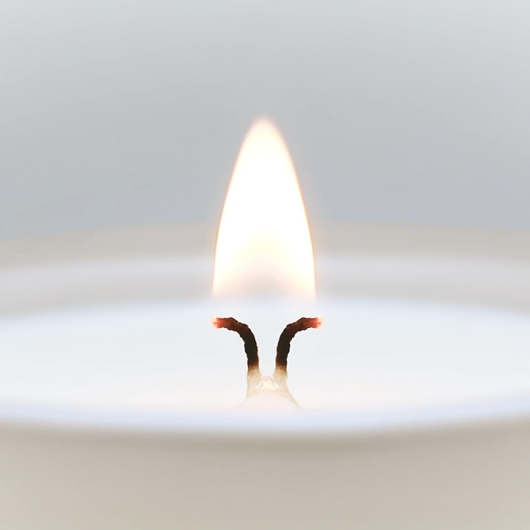 CUE Scented Candle | OpenWick Clean Burning | Soy Coconut Wax Blend | Spring | Summer | Clean Burning | Gift | Extended Burn Time (14oz, Strawberry Silk)