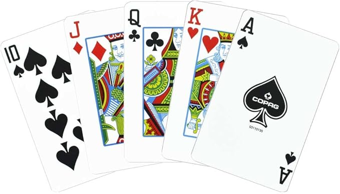 Copag 1546 Red/Blue Bridge Size Standard Index 100% Plastic Cards with Protective Plastic Case