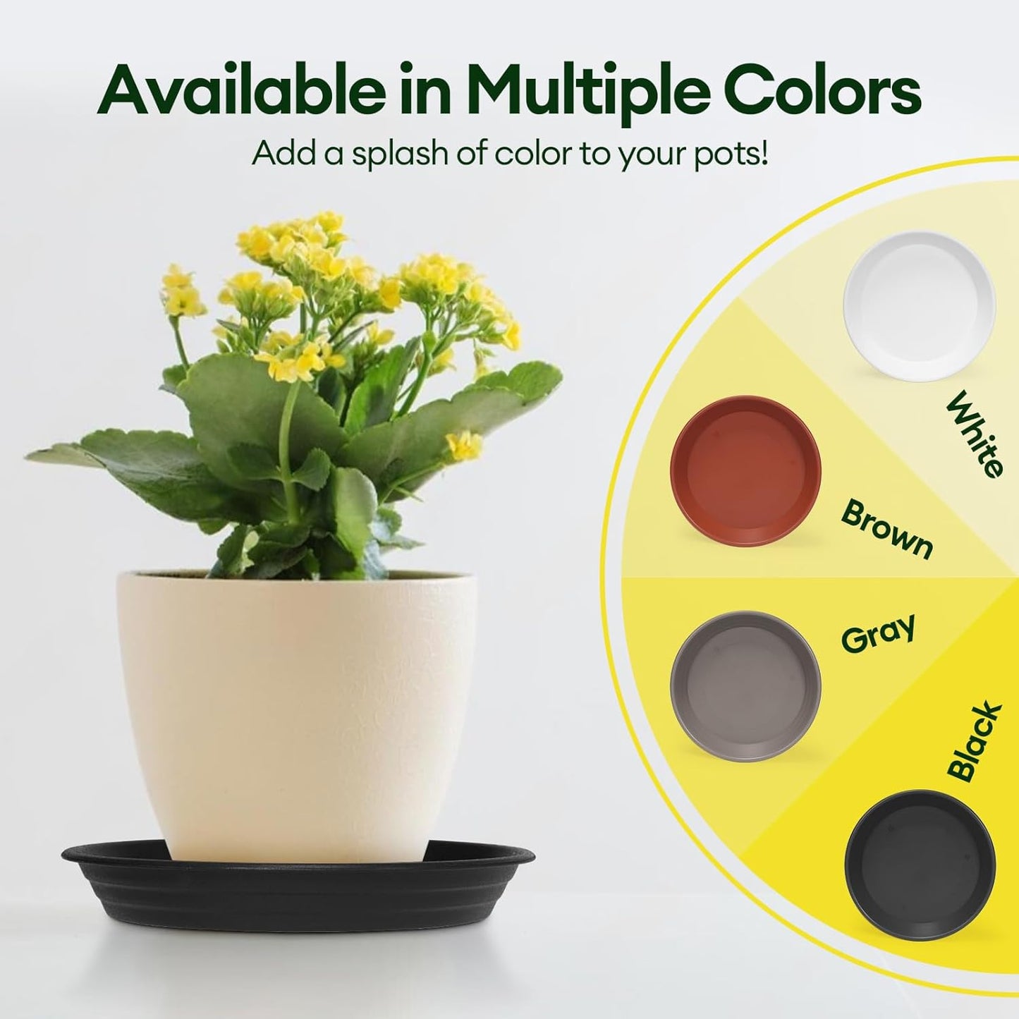 Maygrove Plant Saucers - Heavy Duty 6 Pack for Indoor & Outdoor Use | 8, 10, 12 Inch Black Trays