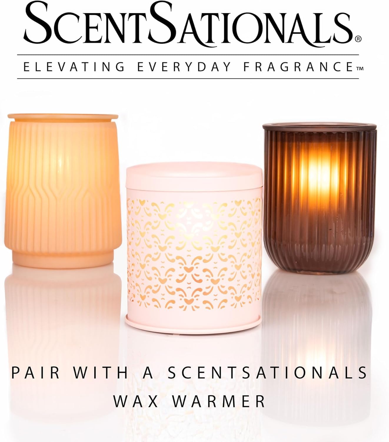 ScentSationals Perfectly Pine Scented Wax Melts - Pine Tree & Citrus, 10oz (24 Cubes)