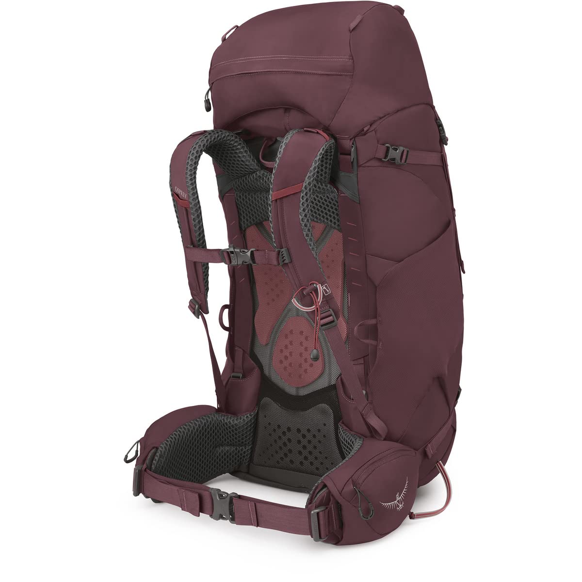 Osprey Kyte 68L Women's Backpacking Backpack with Hipbelt, Elderberry Purple, WXS/S