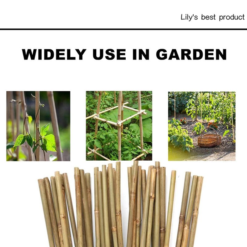 50 Pack 5ft Bamboo Plant Stakes for Wood Garden Sticks,Wooden Plant Supports,Bamboos,Bamboo Trellis,Crafts, More Size Choices 8"/12"/16"//2'/3'/4'/5'/6'