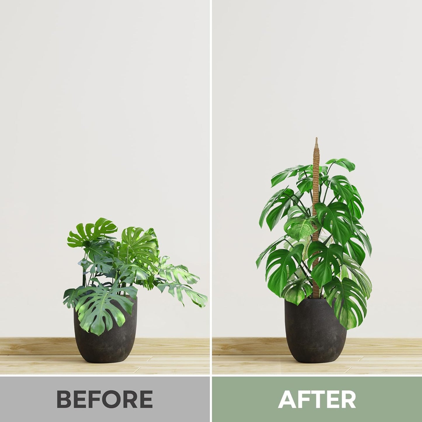 K-Brands 3 Pack Bendable Moss Pole - 48'' & 28'' Monstera Plant Support for Indoor Climbing Plants