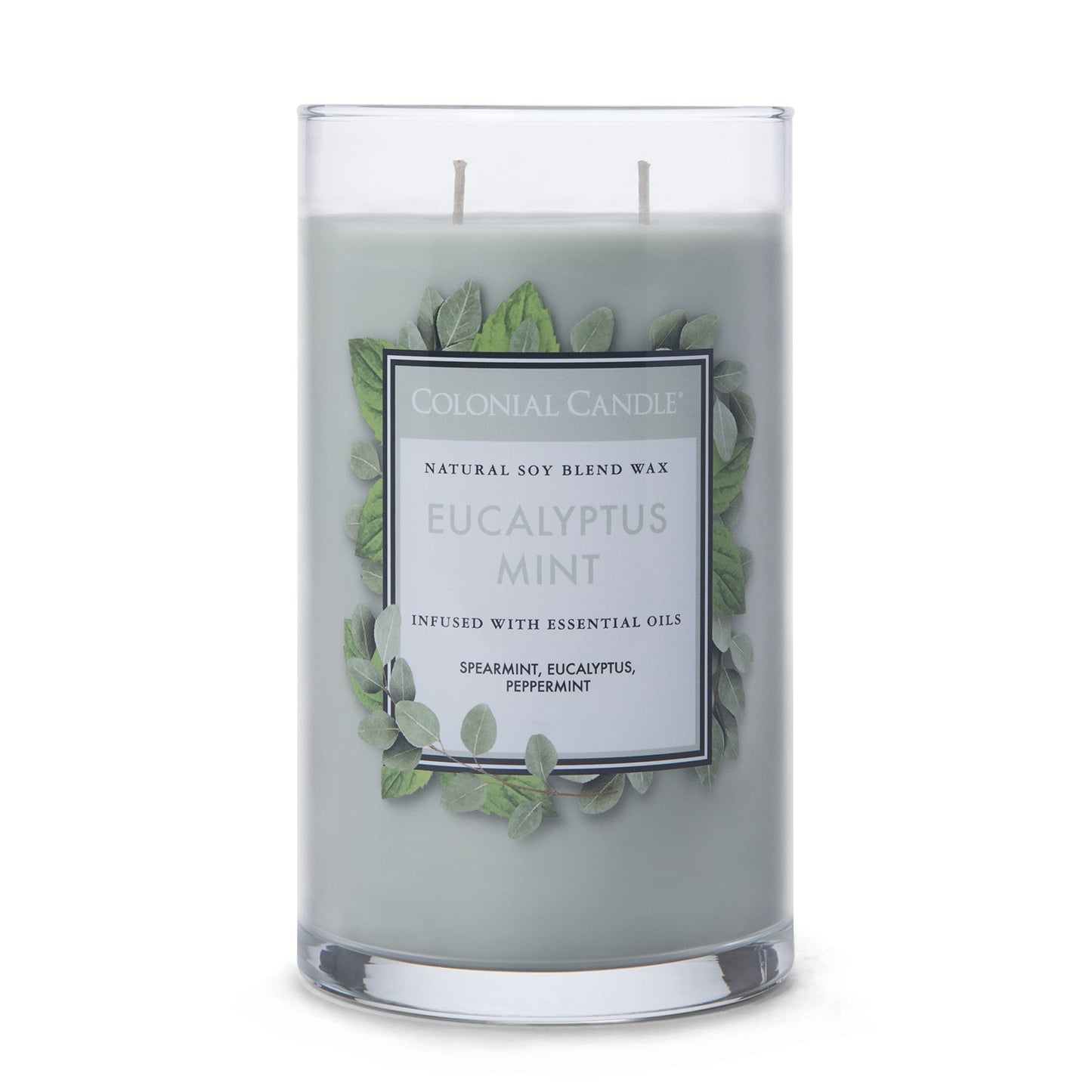 Colonial Candle Eucalyptus Mint Scented Jar Candle, Classic Cylinders Collection, 2 Wick, Green, 19 oz - Up to 120 Hours Burn
