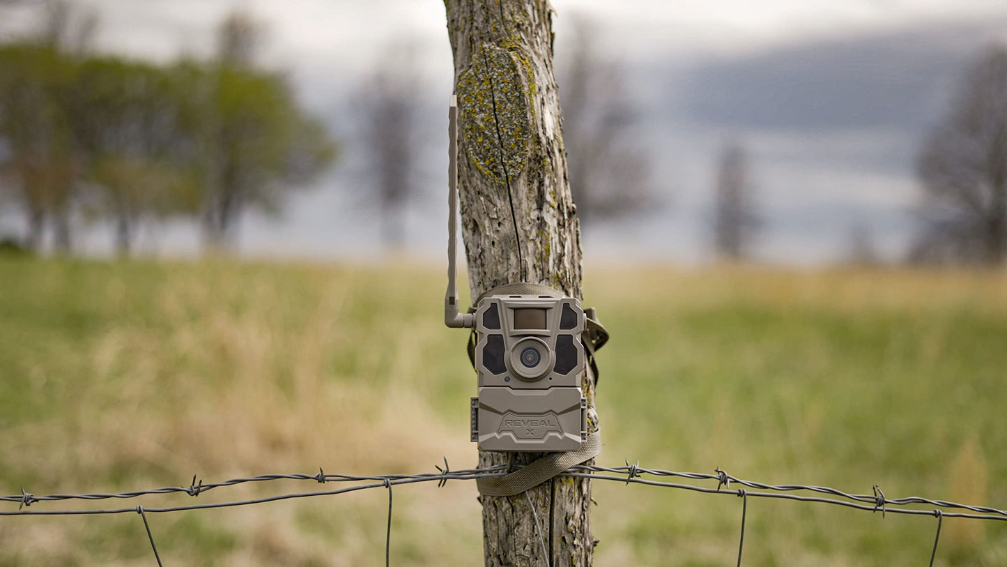 TACTACAM 2 Pack Reveal X Gen 2.0 LTE Cellular Trail Camera AT&T and Verizon, HD Video/Photo, Low Glow IR LED Flash (TA-TC-XG2) for Hunting, Security, Surveillance
