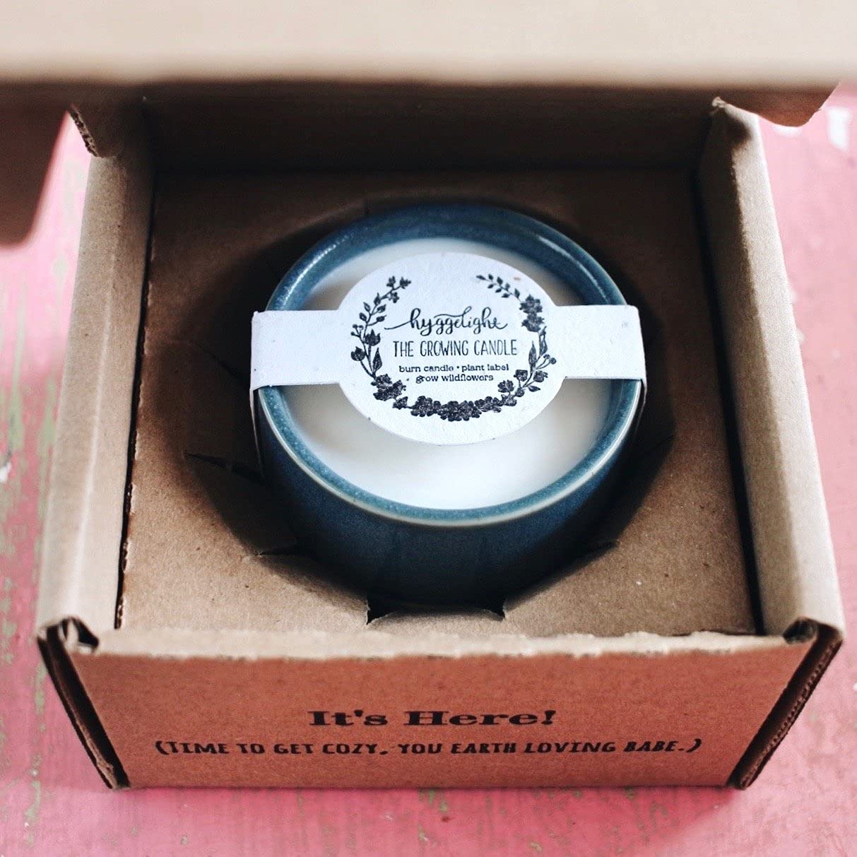 The Growing Candle, from Flame to Flower, Lemongrass Scented, Non-Toxic, 100% Soy Wax, Indoor Wildflower Garden, Aromatherapy Gift for Women, 8.5oz, 45-50 Hr Burn Time, Willow