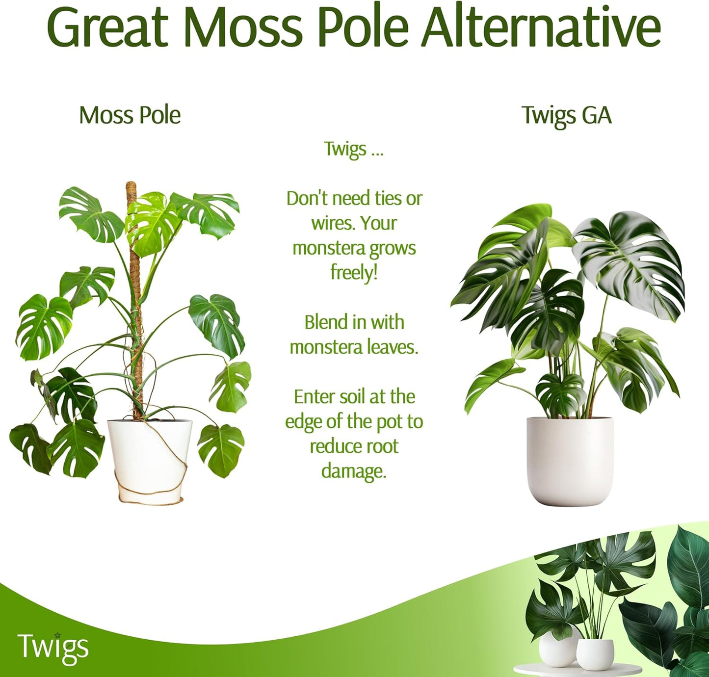 Twigs GA - Stackable Monstera Plant Support Stakes | Climbing Support for Indoor & Outdoor Use - 17" L, 5 Pack