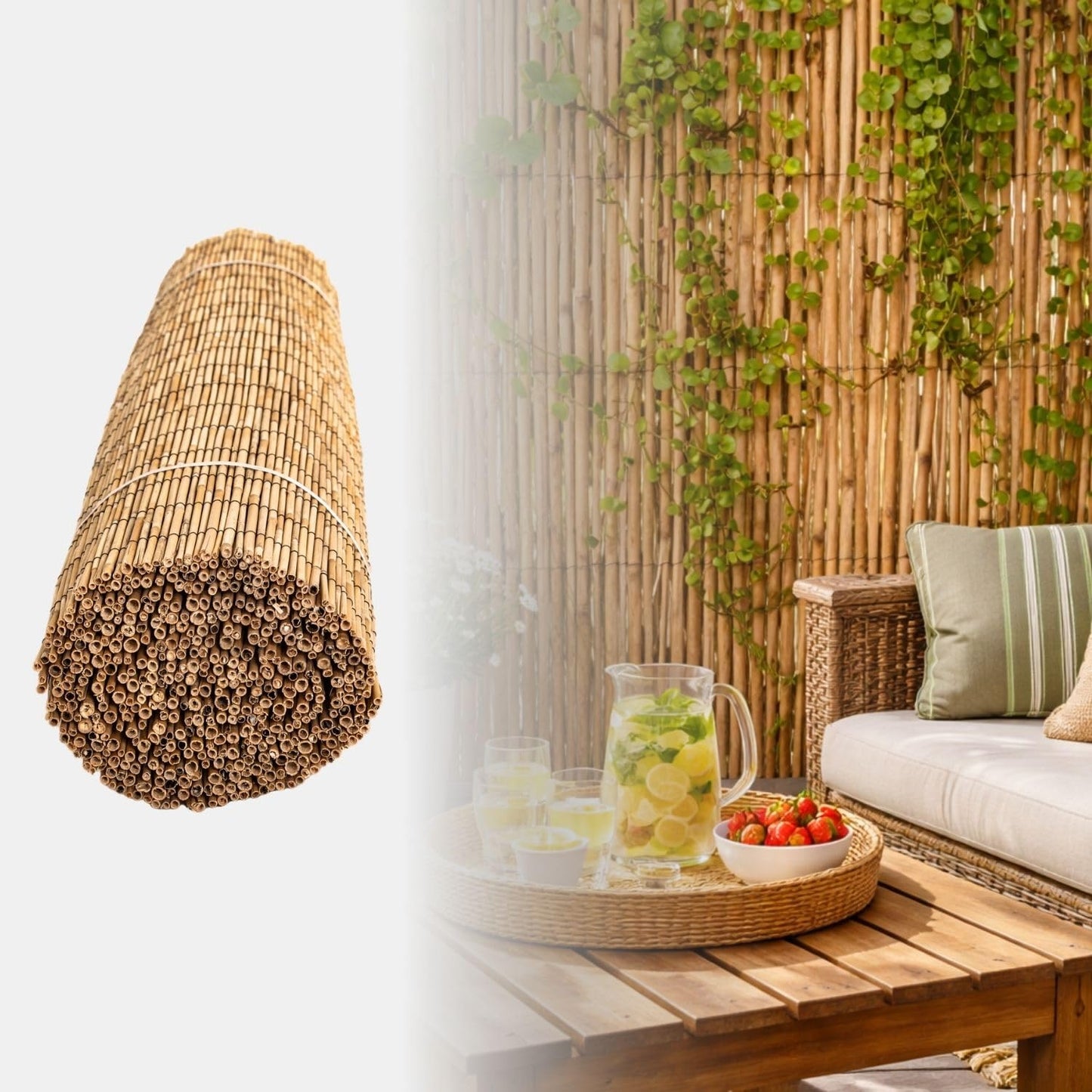 Forever Bamboo Jumbo Reed Natural Bamboo Screen Fencing Privacy Fence Backyard Divider Decorative Reed Garden Fencing 72 in H x 192 in L