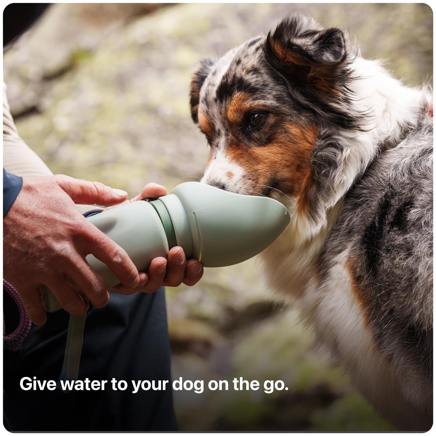 SÄKER Portable Dog Water Bottle, Collapsible Water Bottle for Dogs Perfect for Walking, Hiking and Outdoors | Works as a Portable Water Bowl | Designed in Montreal - 350ml