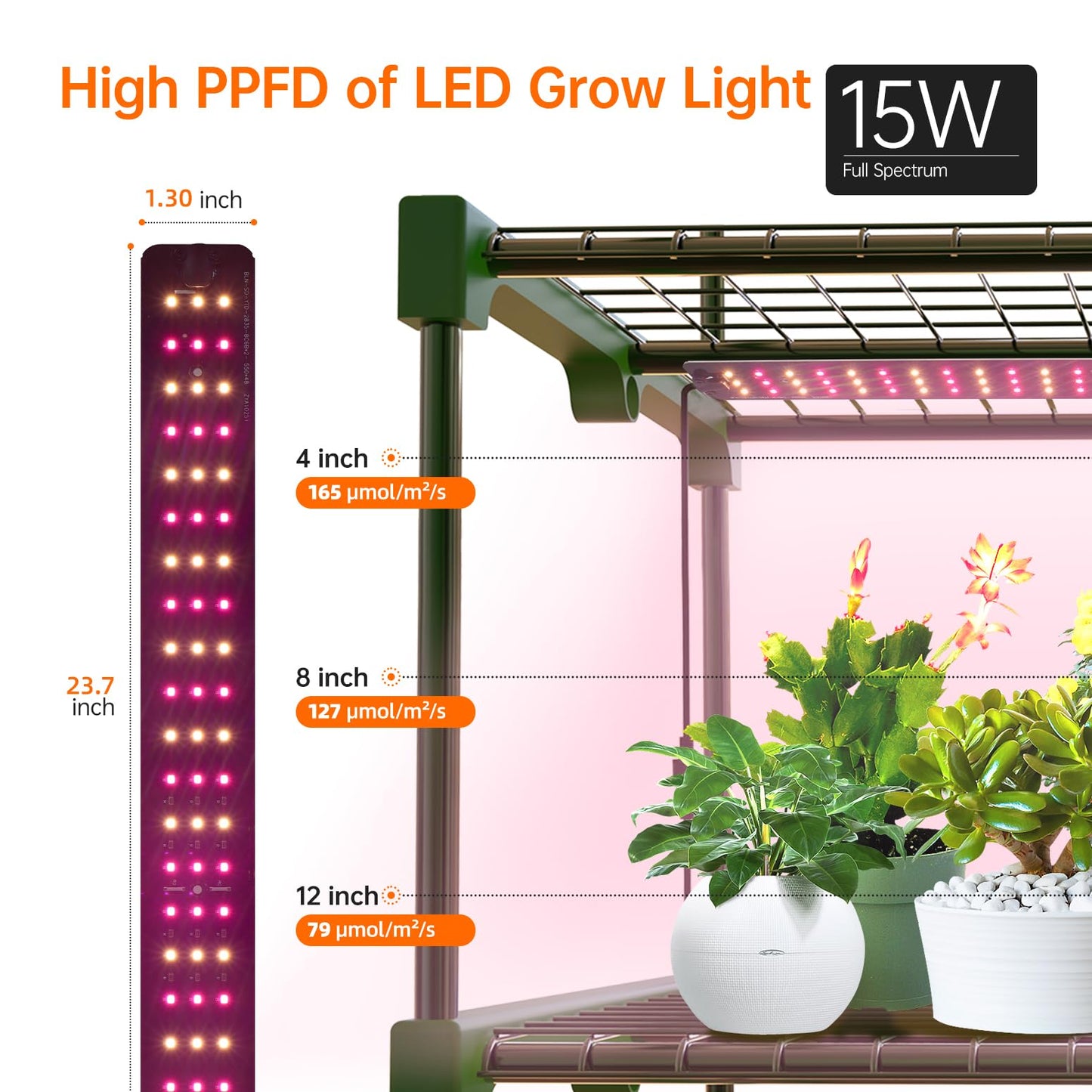 Bstrip Indoor Greenhouse with Grow Lights & Floor Grow Light for Indoor Plants