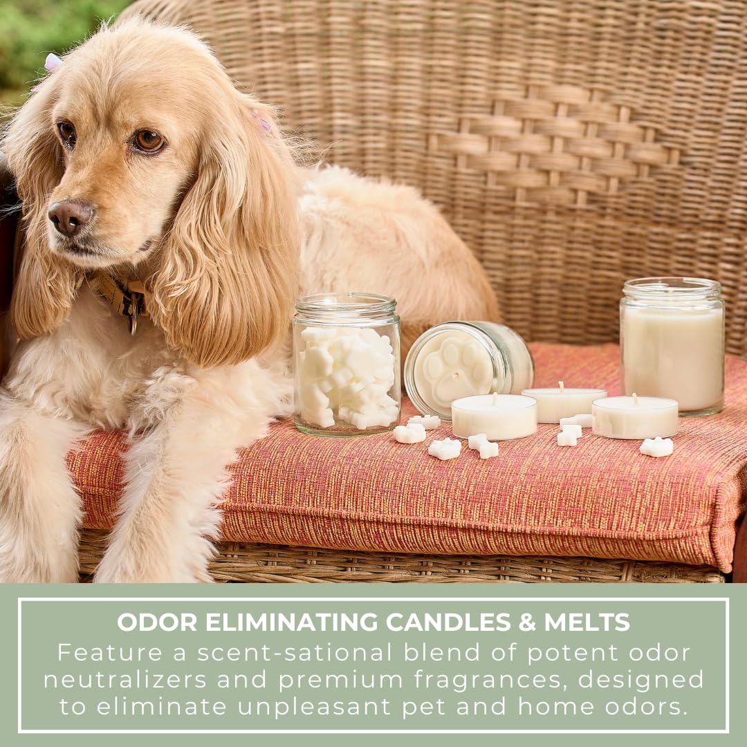 Becky Home 9oz Pet Odor Eliminator Deodorizer Candle, Long-Lasting Unscented, Non Toxic, Scentless Natural Plant-Based Wax Blend