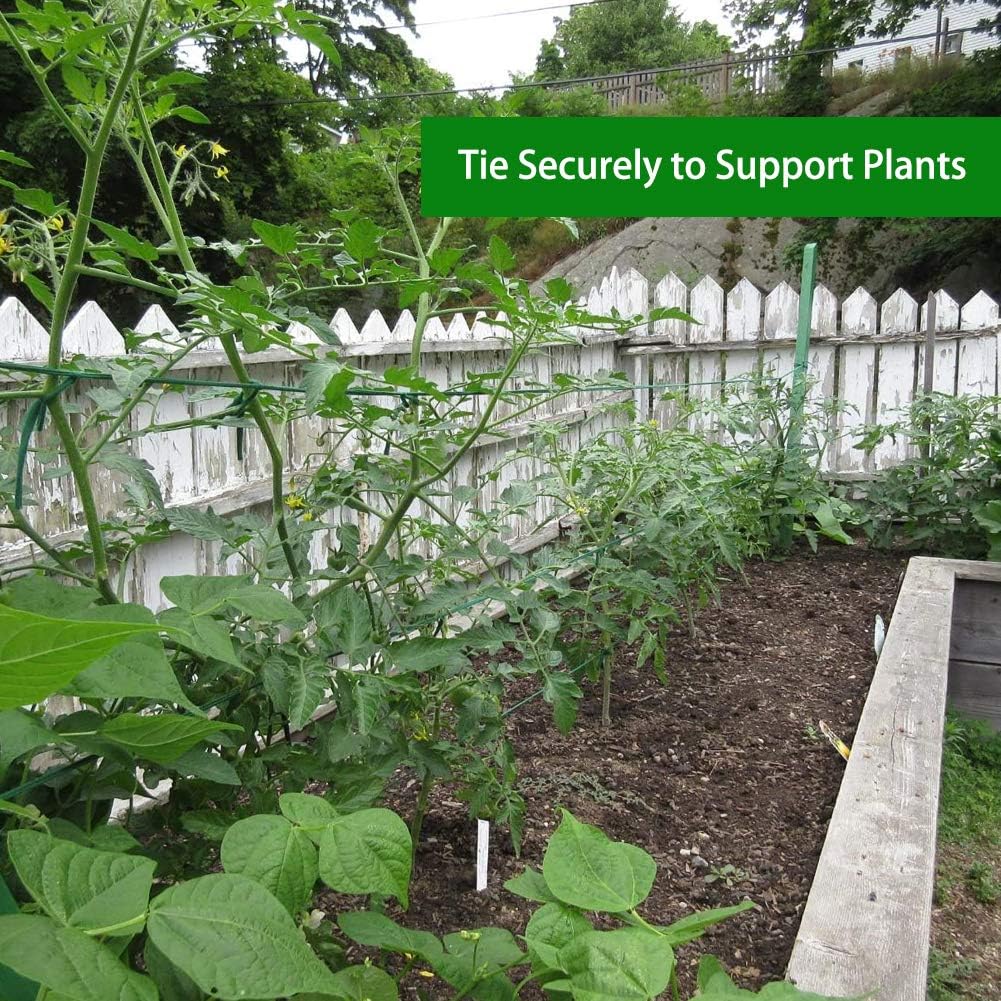 Skiennix Plant Ties - 164 Feet Biodegradable Green Garden Twine for Tomato Plants & Climbing Vines