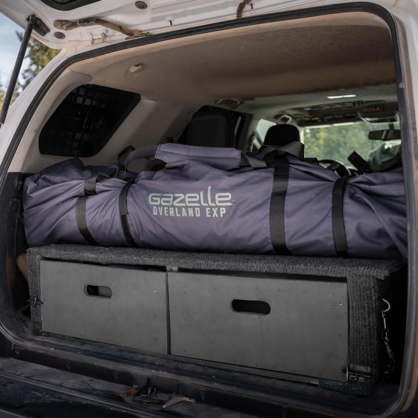 Gazelle Tents™ T4 Overland EXP Hub Tent, Extended Season Camping Tent, Sleeps 4, Pop-Up Hub Tent, Durable Ripstop Fabric, TriTech Mesh, Waterproof, UV Resistant, Agave Green, 78" x 94" x 94", GT403AG