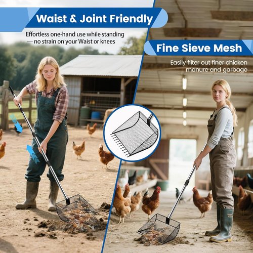 Chicken Poop Scooper - 2-in-1 Rake & Sifting Shovel with Adjustable Stainless Steel Handle (36"-62")