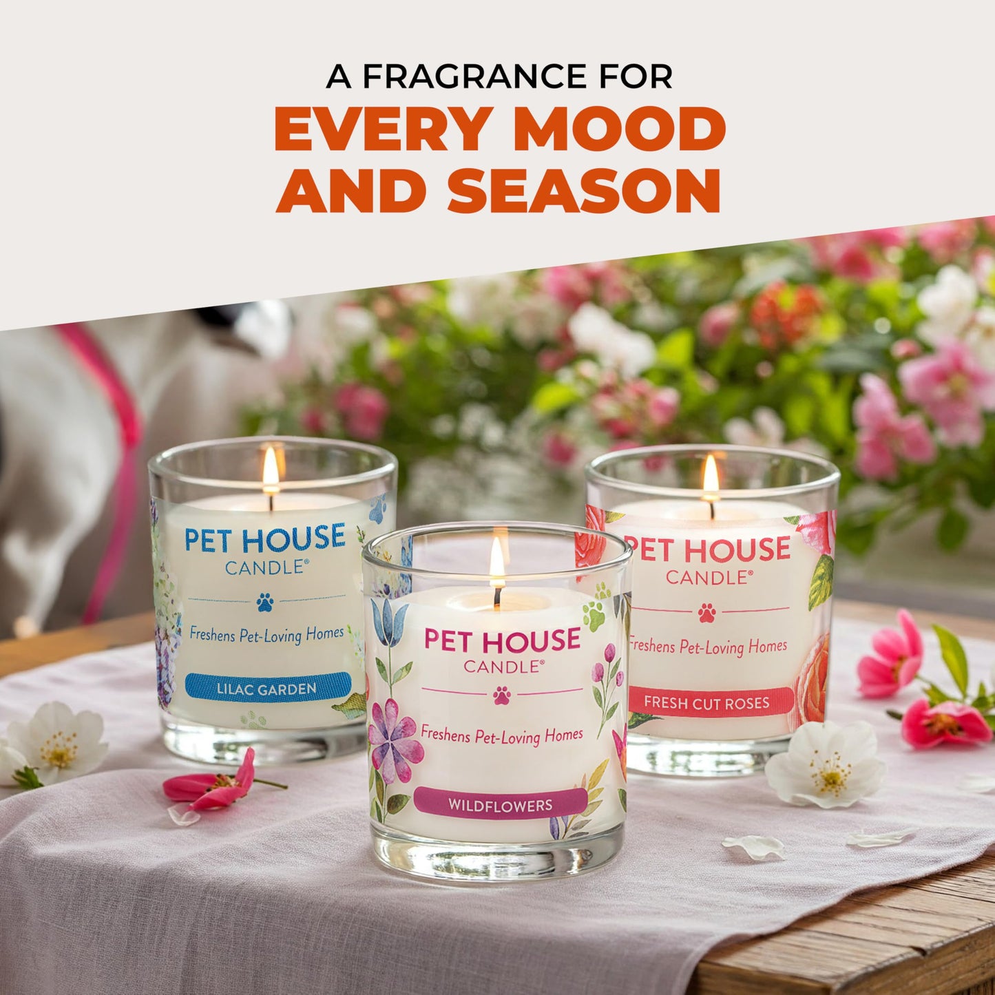 Pet House Pet Odor Candle Plant Based Scented Candle Clean Burning, Long Lasting for Home, Evergreen Forest