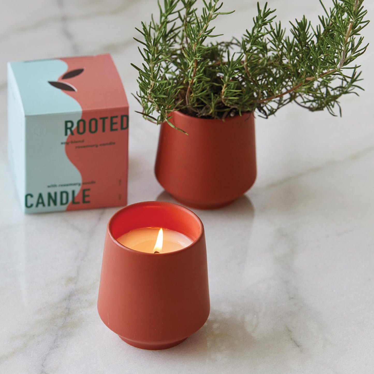 Modern Sprout - 2 in 1 Scented Candles with Seeds that Grows into Plants - 6 oz Soy Candle with 42 hr Burn time in Matte Glaze Ceramic Vessel - Rosemary, Thyme, & Lavender - Pack of 3