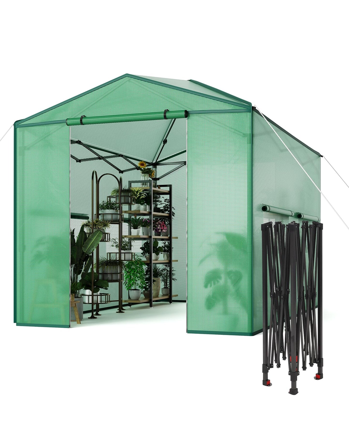 6x8 FT Pop-Up Greenhouse with Durable PE Cover, 96"x72" Large Grow Tent for All Seasons | Features Zippered Doors & Mesh Windows for Indoor/Outdoor Plants, Easy to Assemble (Green)