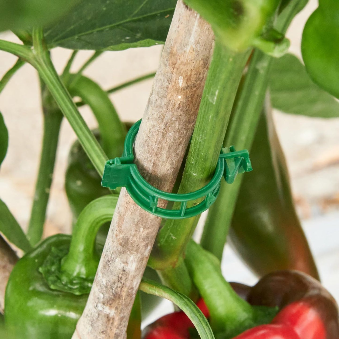 Skiennix Plant Support Clips - 100 Pcs Durable Plastic Clips for Securing Tomato Vines & Climbing Plants | Green