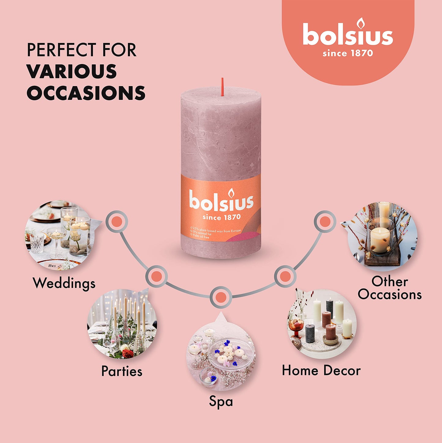 BOLSIUS 4 Pack Ash Rose Rustic Pillar Candles - 2.75 X 5 Inches - Premium European Quality - Includes Natural Plant-Based Wax - Unscented Dripless Smokeless 60 Hour Party Décor and Wedding Candles