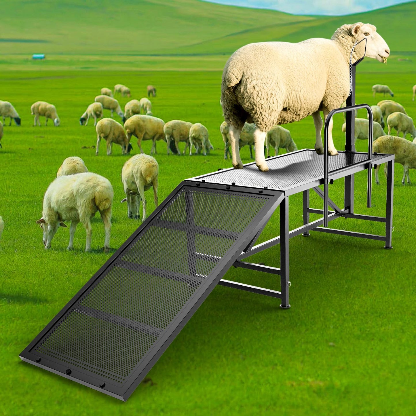 ZUIWAN Heavy Duty Sheep Trimming Stand with Ramp - Adjustable Livestock Grooming & Milking Stand for Goat, Sheep Shearing and Milking Frame