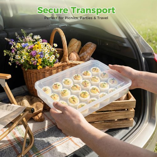 HANSGO Deviled Egg Containers with Lid, Deviled Egg Tray Holder Carrier with Lid for 24 Eggs for Home Party Kitchen Supplies Refrigerator Storage
