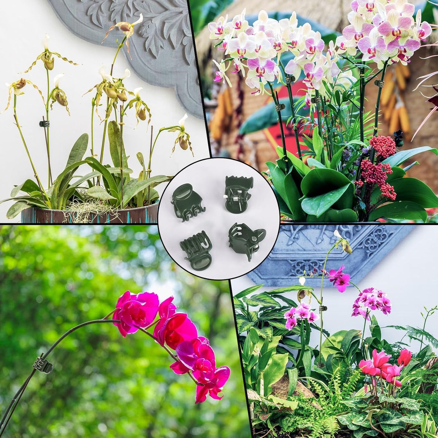 AccEncyc Plant Clips - 100 Pcs Orchid Support Clips for Stems, Vines & Climbing Plants