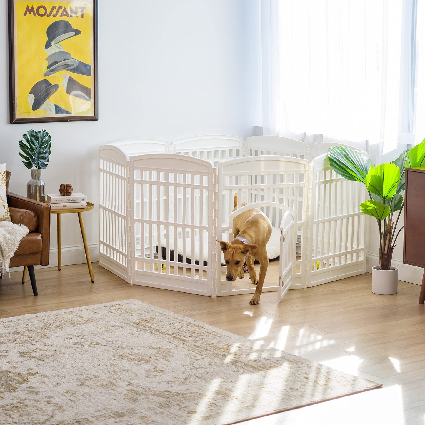 IRIS USA Dog Playpen with Door, 34” 8 Panel Pet Exercise Pen – Indoor Outdoor Puppy Play Pen, Portable Plastic Pet Fence for Small Medium Dogs, Foldable 63” x 63” x 34”, White