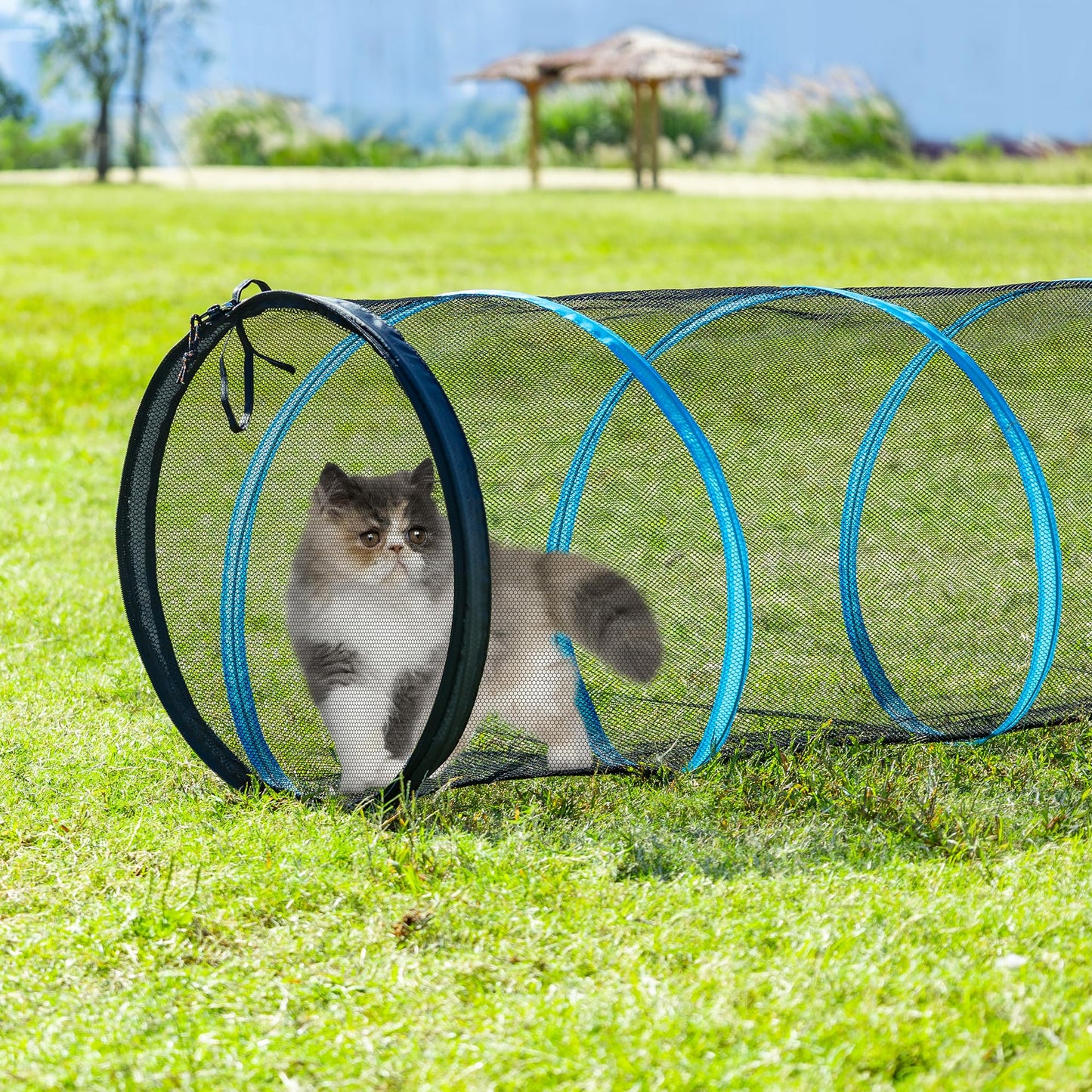ITENT Cat Play Tunnel-for Indoors and Outdoors,Cat Tunnel Outdoor, Kitty Outdoor Enclosure, Cat Enclosures Easy to Connect with Two Zipper Doors,Product Size 59'' x 18'',3pcs /Set,Blue,3 Packs