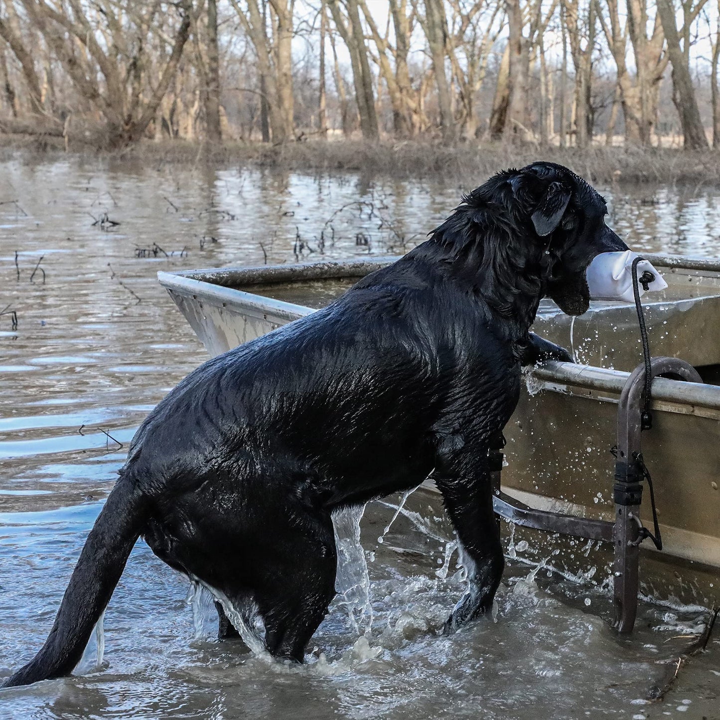 Momarsh Ramp Stand | Foldable Dog Ladder Platform for Waterfowl Hunting Training | Adjustable Pet Trainer Stand | Duck Retriever Instruction Blind | Portable Dura-Mesh Timber or Boat System