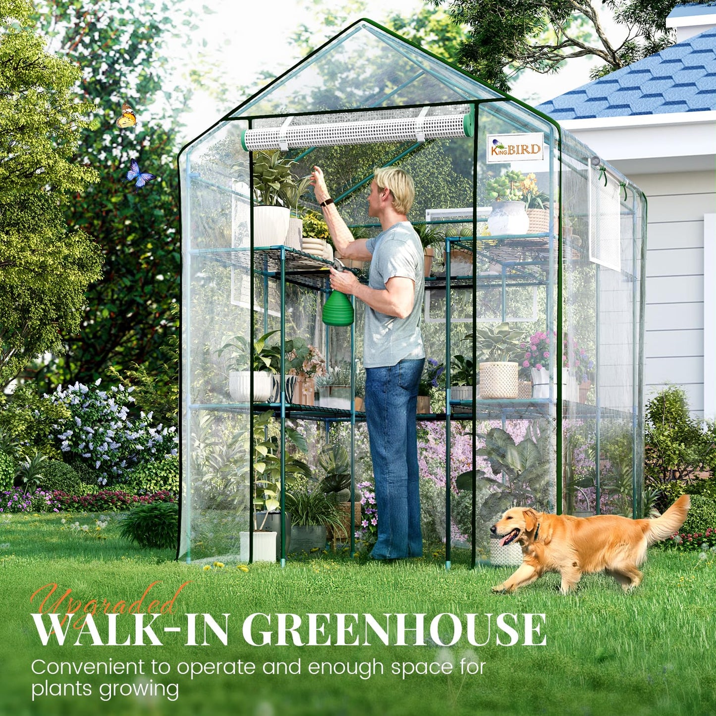 KING BIRD Premium Greenhouse for Outdoors, 56x56x77 in Walk-in Hot House with Thickened Cover, Reinforced Frame, Screen Windows & Mesh Door, 3 Tiers 14 Shelves for Outside Garden Seedlings, Clear