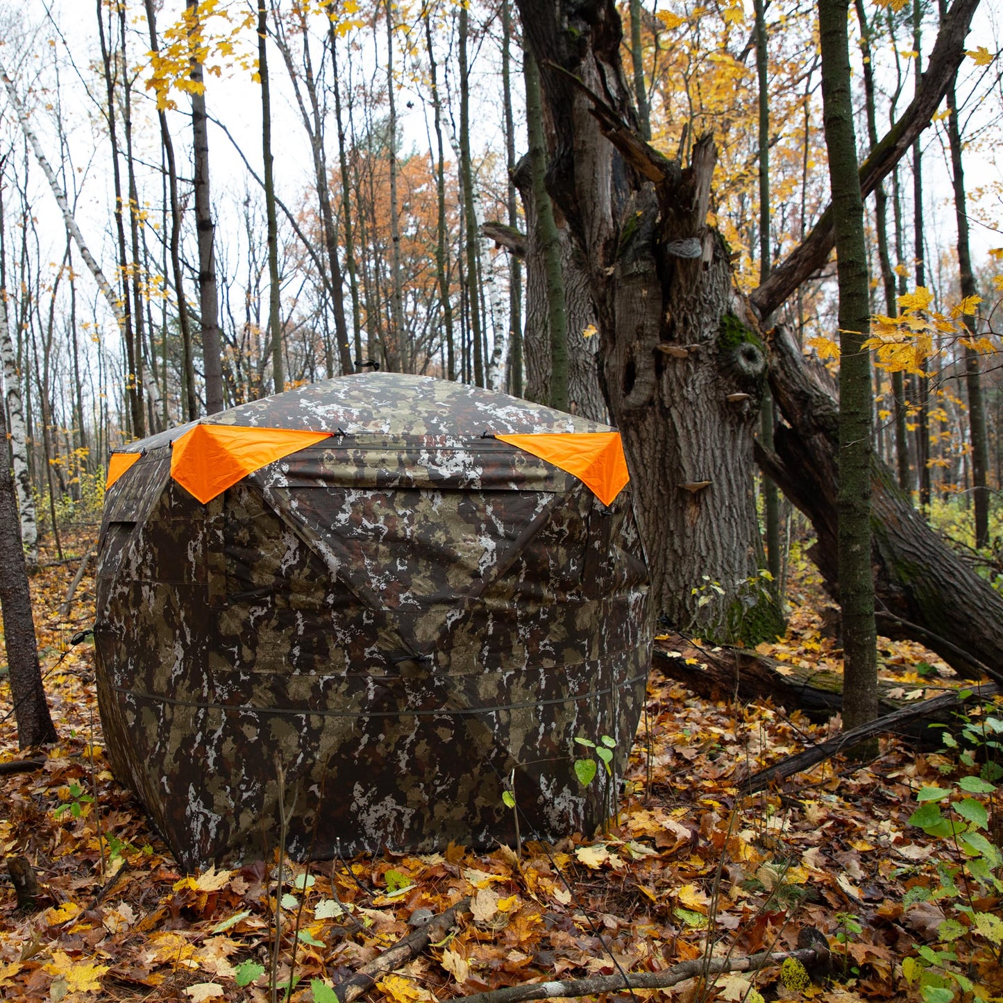 Barronett Blinds® Spy 5, Portable Hunting Blind, 5-Sided Hub Blind, View-Through Mesh, Two Vertical Corner Doors, Crater™ Harvest, 72” x 84” x 84”, SP500CH