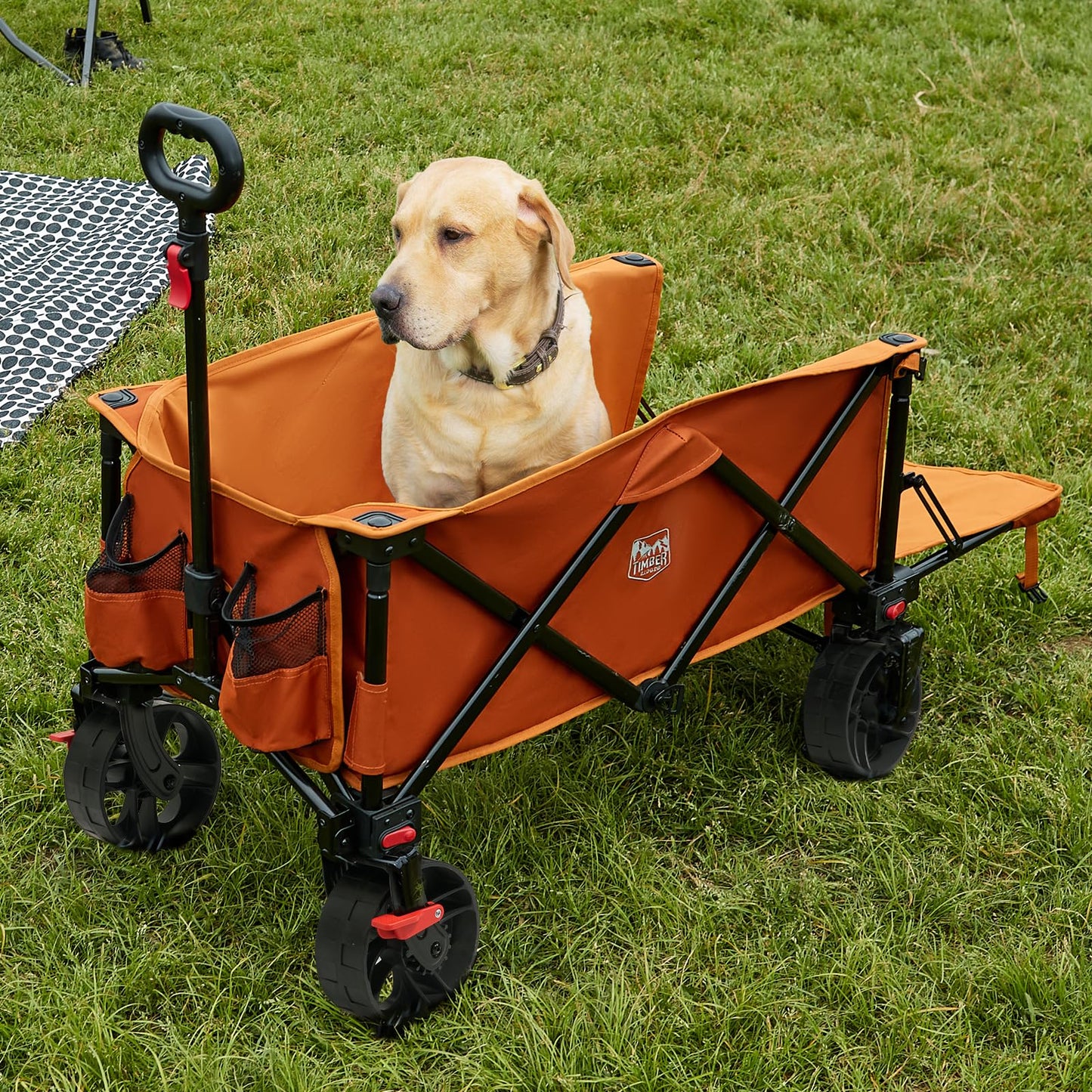 Timber Ridge 47" L Collapsible Wagon with Tailgate & Brake, 300 lbs Heavy Duty Beach Wagon with All-Terrain Big Wheels, 250L Foldable Utility Cart for Sand Camping Sports Shopping, Orange