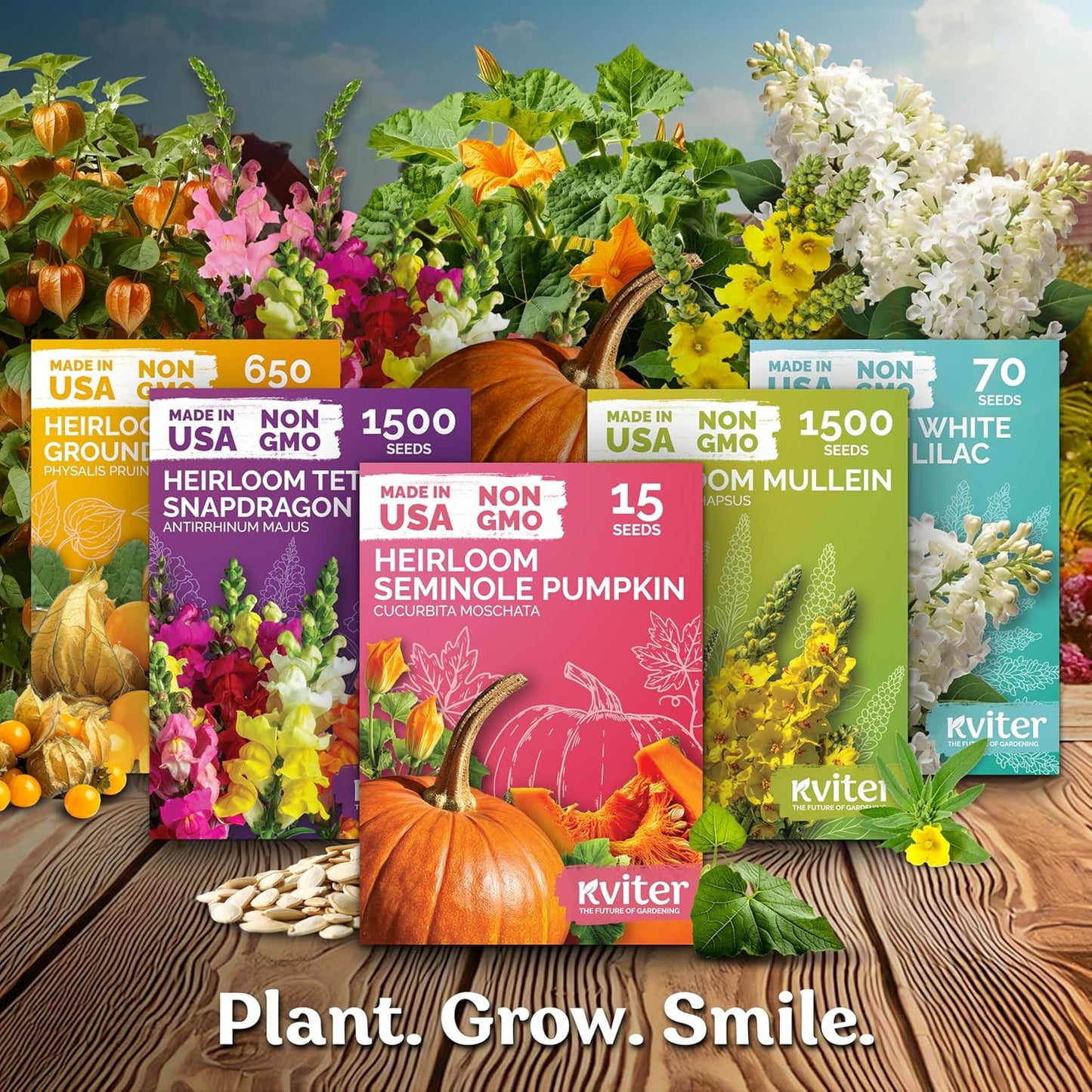 KVITER 800 Mix Bachelor Button Seeds - Cornflower Seed Pack for Vibrant Indoor & Outdoor Gardens