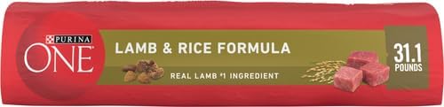 Purina ONE Dry Dog Food - Lamb & Rice Formula for Healthy Skin & Coat | 31.1 lb Bag