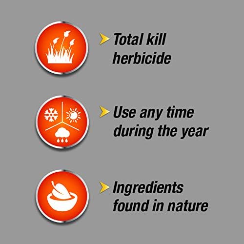 Pulverize Weed Brush & Vine Killer - Fast Acting, Non-Staining Herbicide for Poison Ivy & Weeds | 32 oz.