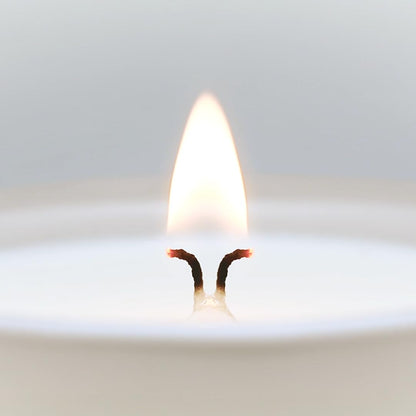 CUE Scented Candle | OpenWick Clean Burning | Soy Coconut Wax Blend | Spring | Summer | Clean Burning | Gift | Extended Burn Time (14oz, Strawberry Silk)