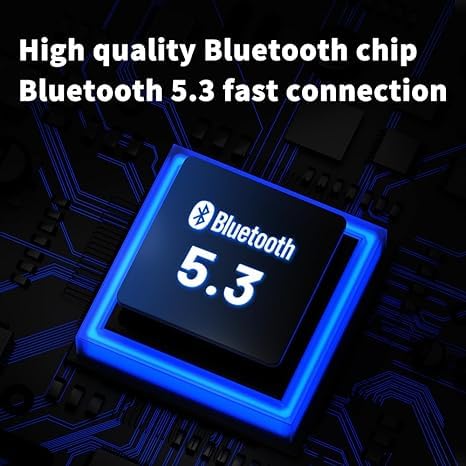 Fanmusic TRN BT20 Pro True Wireless Bluetooth 5.3 Earphone Module Swappable connectors (Headphones not Included) (2pin-S)