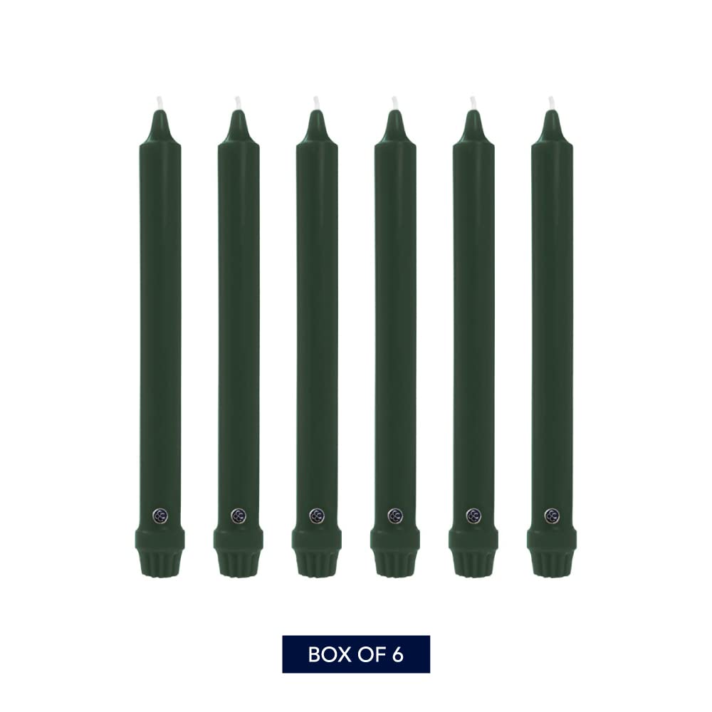Colonial Candle Unscented Taper Candle, Classic Collection, Evergreen, 10 in, Pack of 6 Candlesticks - Up to 8 Hours Burn
