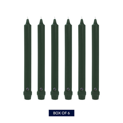 Colonial Candle Unscented Taper Candle, Classic Collection, Evergreen, 10 in, Pack of 6 Candlesticks - Up to 8 Hours Burn