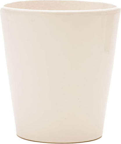 DecoBlooms Premium Pearl 5” Orchid Live Indoor Plant (Modern Pot Included) – Grown in the USA - Fresh Flowering Home Decor Delivery for Birthday, Anniversary, Sympathy, Wedding, Mother's Day