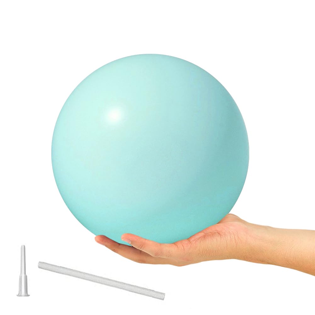 9 Inch Exercise Pilates Ball Mini Exercise Barre Ball for Yoga,Stability Exercise Training Gym Anti Burst and Slip Resistant Balls Physical Therapy Improves Balance, Core Strength