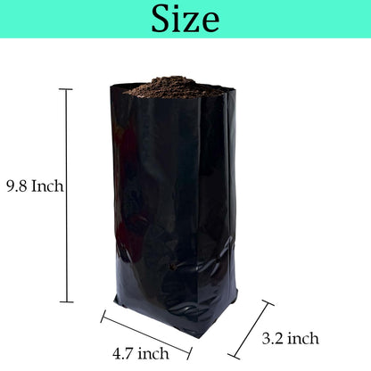 gardtree 100 Pcs Thicken Plastic Plant Nursery Bags 4.7" x 9.8", Grow Bags for Fruit Trees, PE Seedling Pots, Nursing Growing Pouch, Ideal for Flowers, Vegetables, Fruit, Plant Growing Containers
