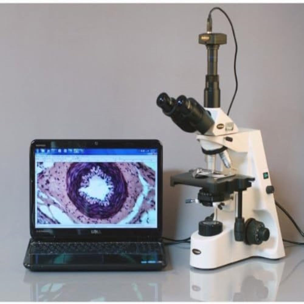 AmScope T690C-PL Trinocular Compound Microscope, 40X-2500X Magnification, WH10x and WH25x Super-Widefield Eyepieces, Infinity Plan Achromatic Objectives, Brightfield, Kohler Condenser, Double-Layer Mechanical Stage