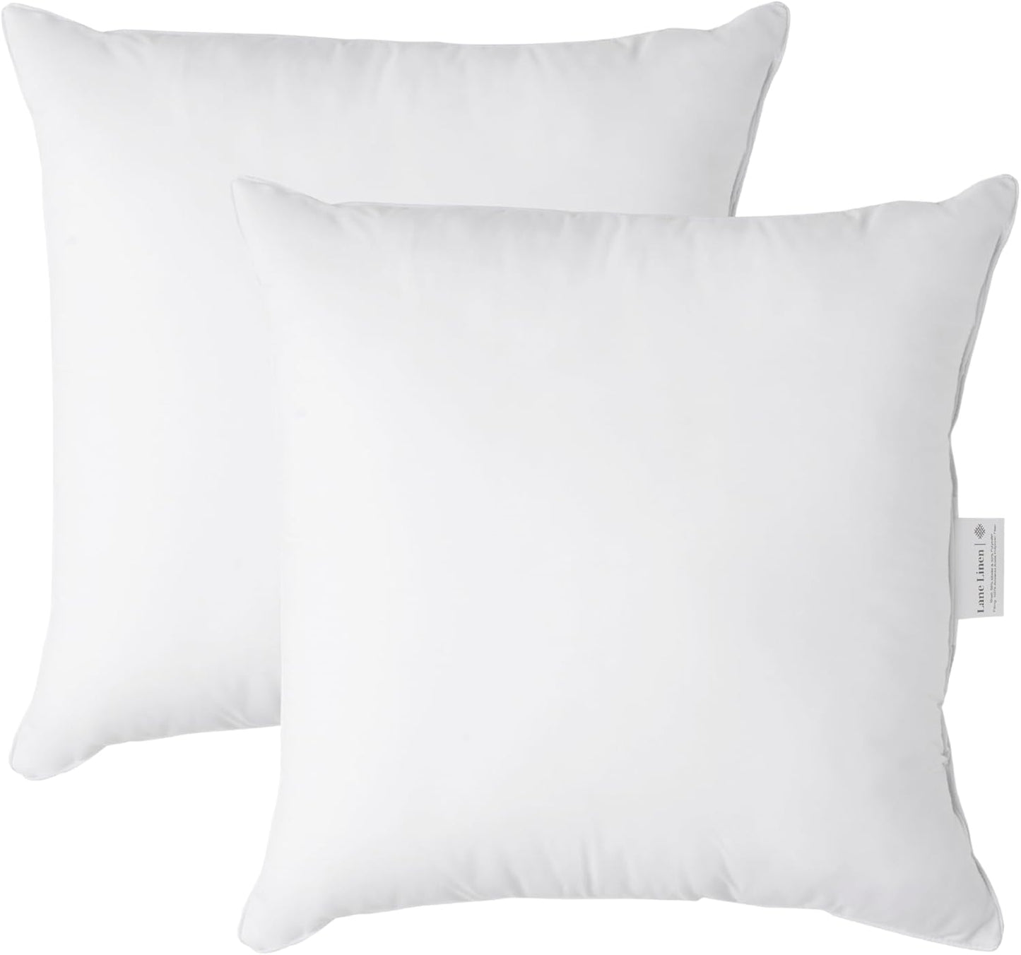 LANE LINEN Throw Pillow Insert - Pack of 2 16x16 Pillow Inserts for Decorative Pillow Covers, Throw Pillows Insert for Couch - White