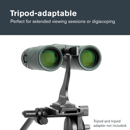 Celestron - Nature DX 8x32 Binoculars – Ideal for Birding and Outdoors – 32mm Objective Lenses – Wide 7.4° Field of View – BaK-4 Prisms – Fully Multi-Coated – Waterproof and Fogproof