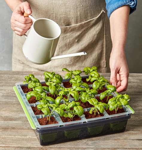 Burpee SuperSeed Seed Starting Tray | 16 XL Cell | Reusable & Dishwasher Safe | for Starting Vegetable Seeds, Flower Seeds & Herb Seeds | Indoor Grow Kit for Deep-Rooted Seedlings, Green