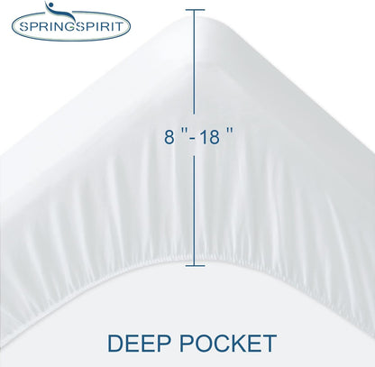 Skiennix Queen Mattress Protector - Waterproof & Absorbent Terry Cover | Fitted for 18'' Mattresses