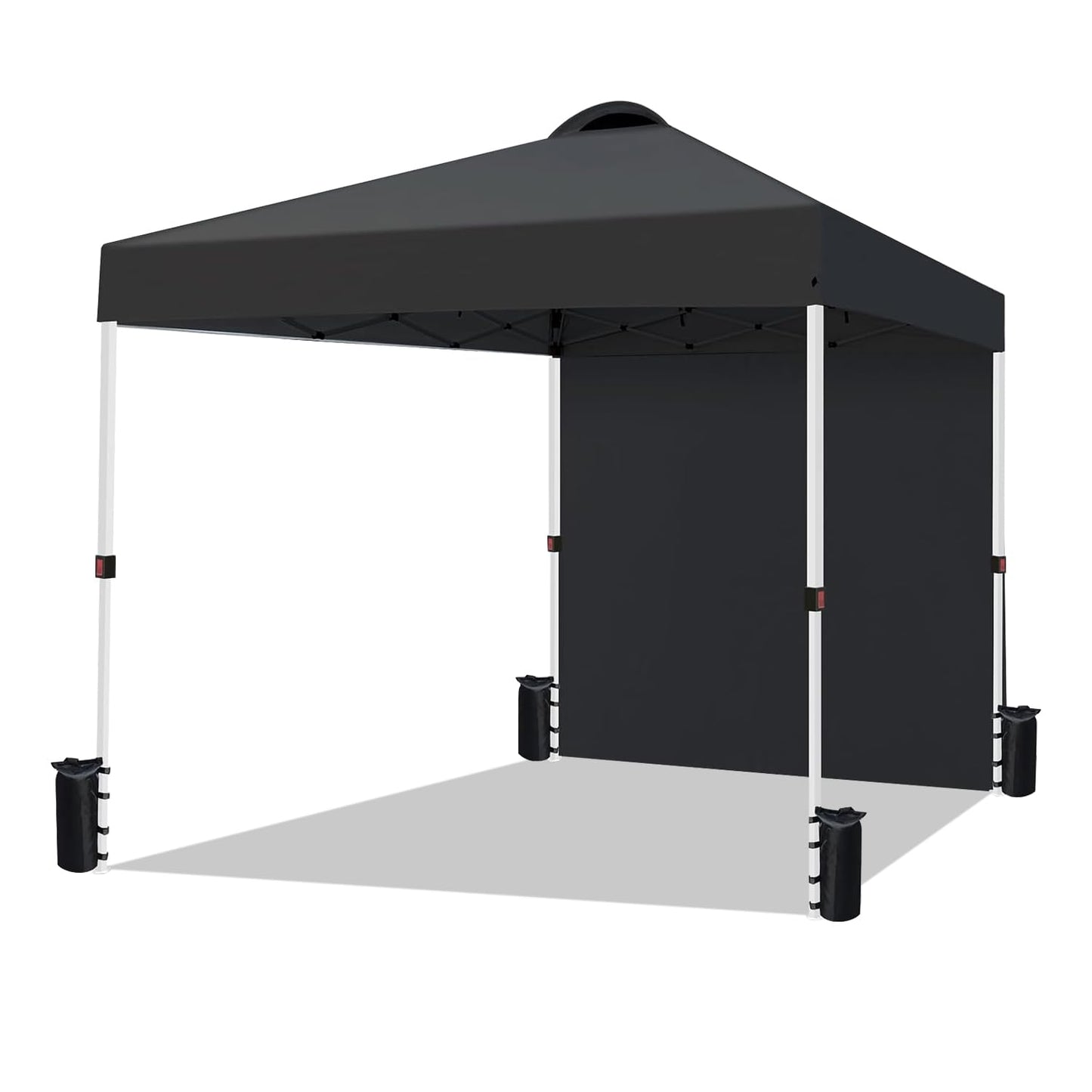 VOYSIGN Durable 10 x 10 Pop-up Canopy Tent with 1 Sidewall, Portable Instant Camping Beach Canopy Tents, Black