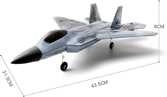RC Plane Remote Comtrol Airplane RC 2CH Plane F-22 Remote Control Airplane Ready to Fly 2.4GHz Aircraft Easy to Fly RC Glider for Beginners
