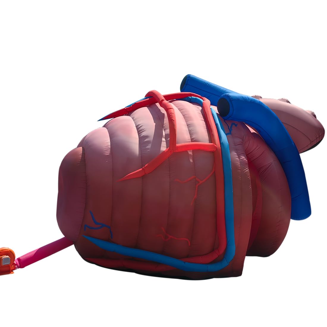 Outdoor Inflatable Human Heart Model Replica Tent, 13ftx10fx9ft Heart Inflatable Medical Exhibit with Blower, for Halloween, Educational Medical Exhibit
